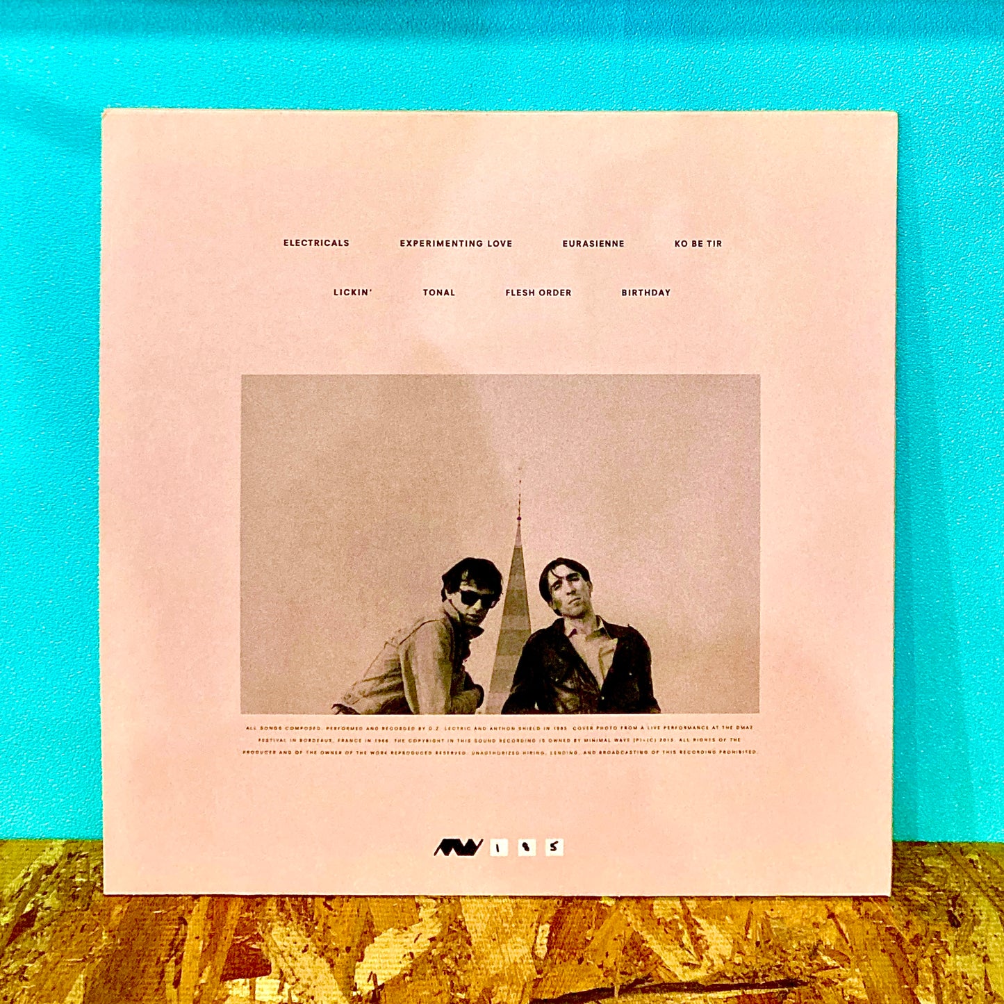 D.Z. Lectric & Anthon Shield – Lickin'