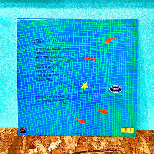 Elli Medeiros – Toi Mon Toit