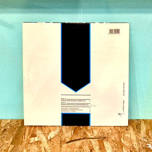 Ashaye – Whats This World Coming To