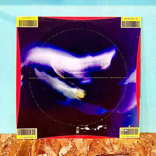 Chris & Cosey – Synaesthesia