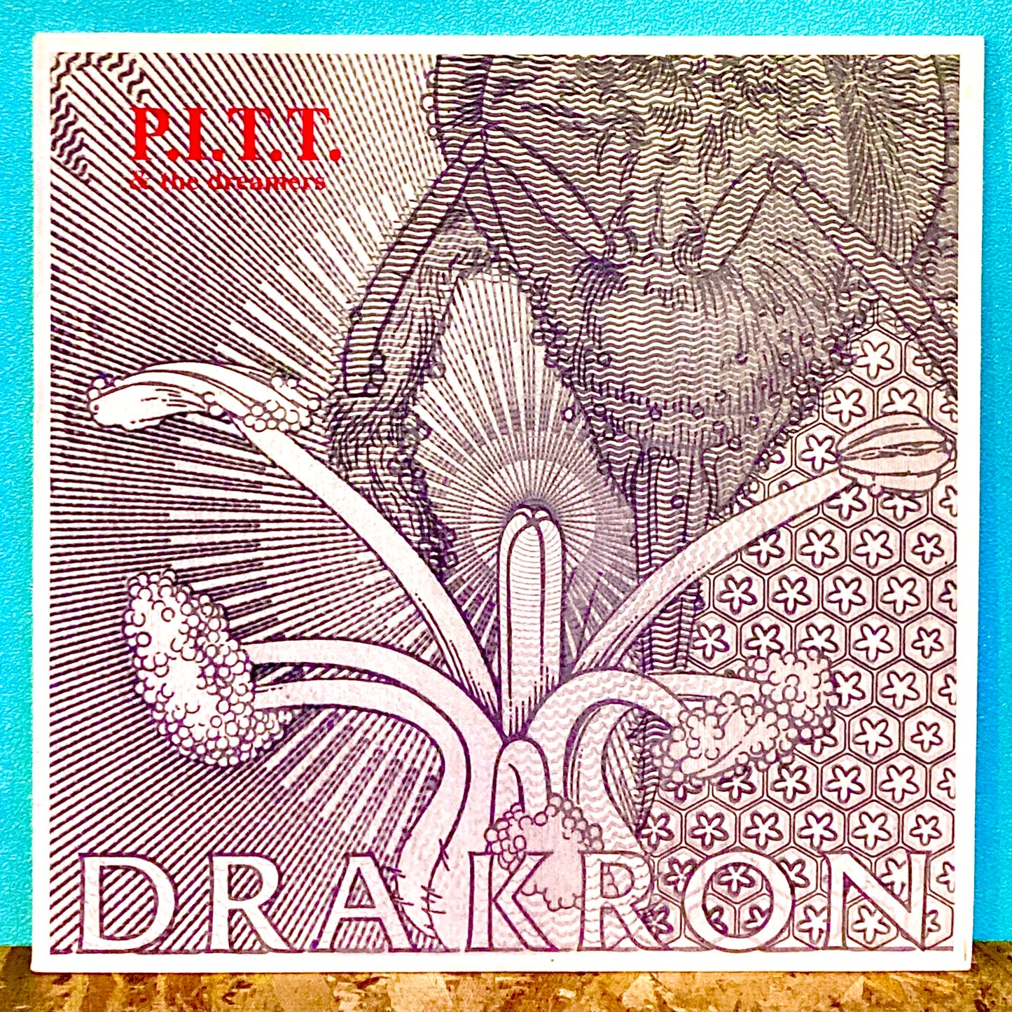 PITT & The Dreamers - Drakron