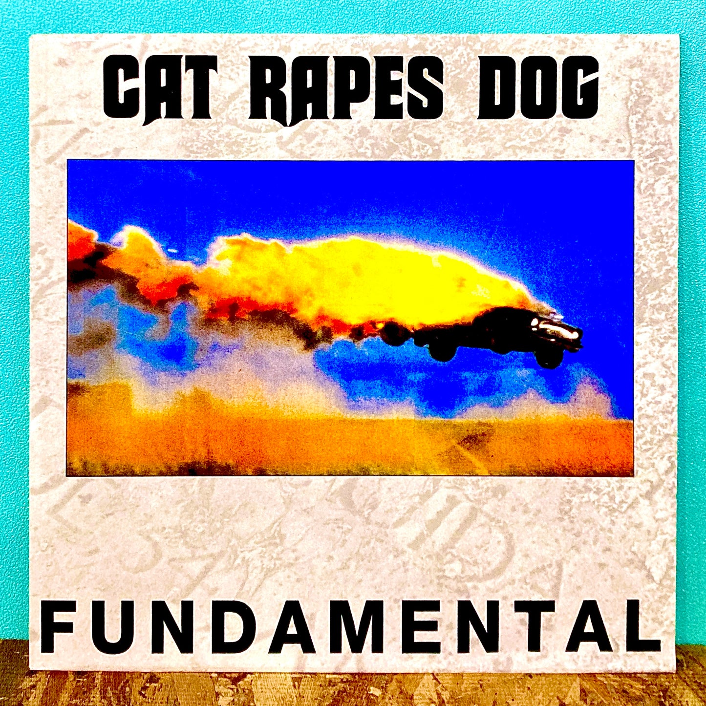 Cat Rapes Dog – Fundamental