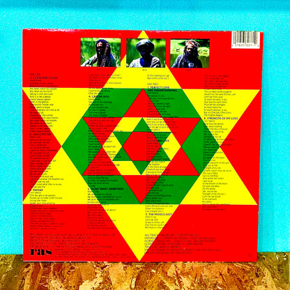Israel Vibration – Strength Of My Life