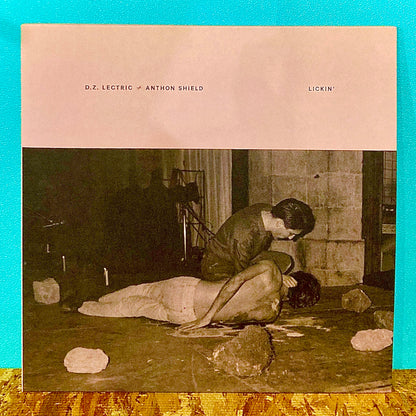 D.Z. Lectric & Anthon Shield – Lickin'