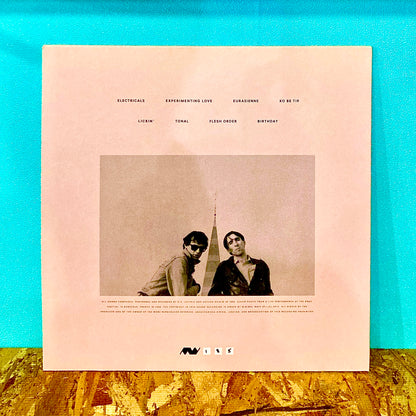 D.Z. Lectric & Anthon Shield – Lickin'