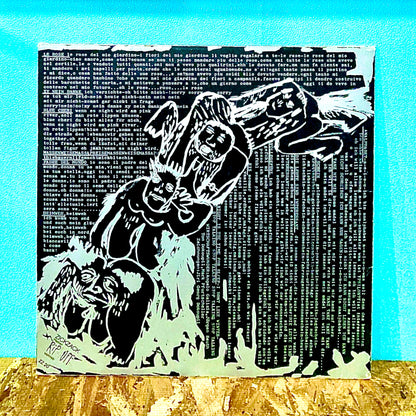 The Wirtschaftswunder ‎– Salmobray