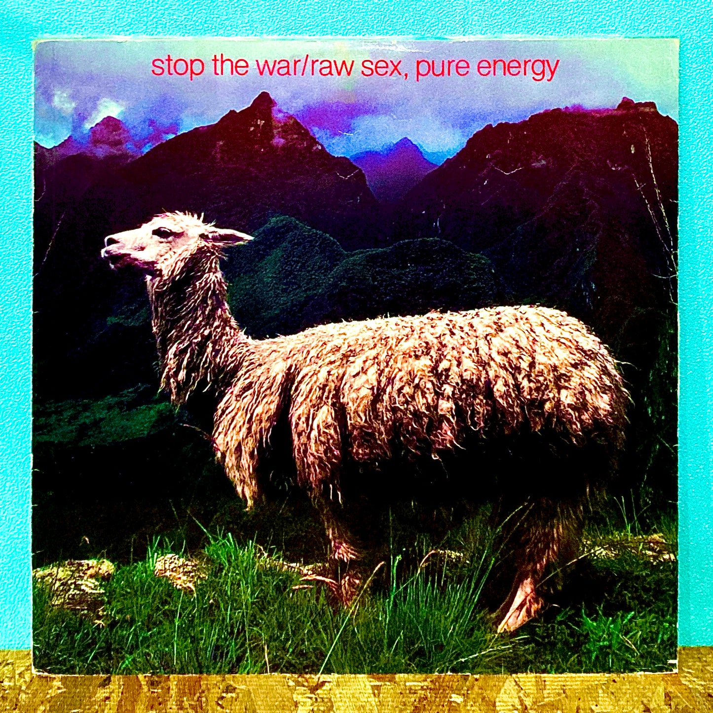 Raw Sex, Pure Energy ‎– Stop The War / Give Sheep A Chance