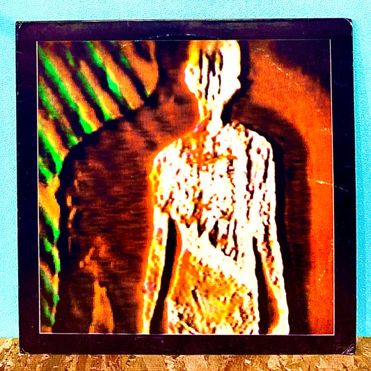 The Happiness Boys ‎– Resident Alien