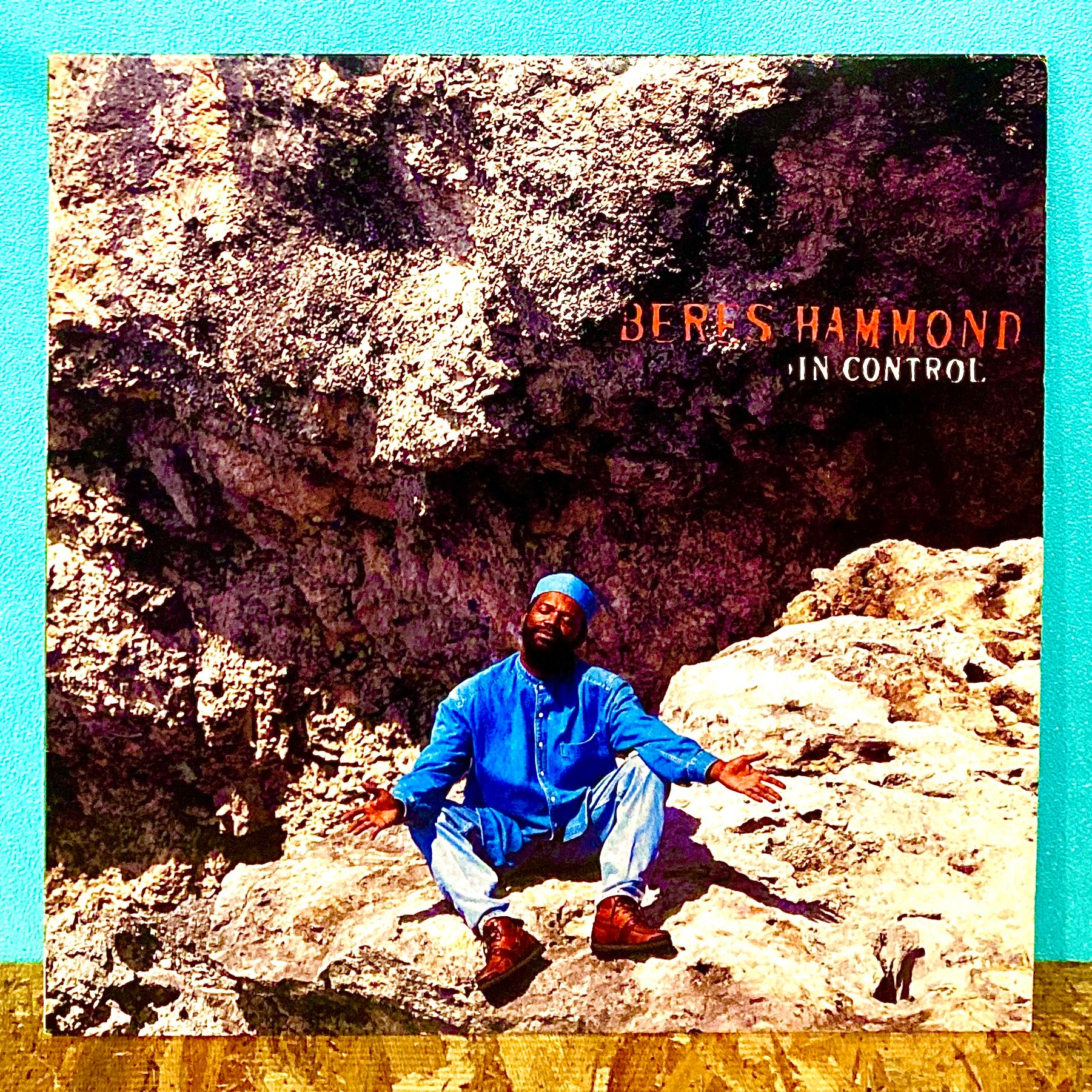 Beres Hammond ‎– In Control – 汎芽舎