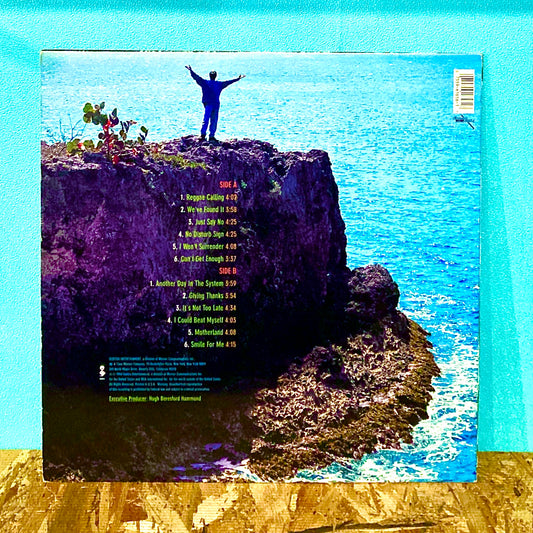 Beres Hammond ‎– In Control