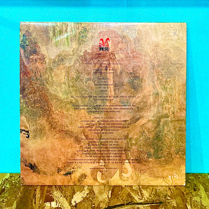 Lights In A Fat City – Somewhere