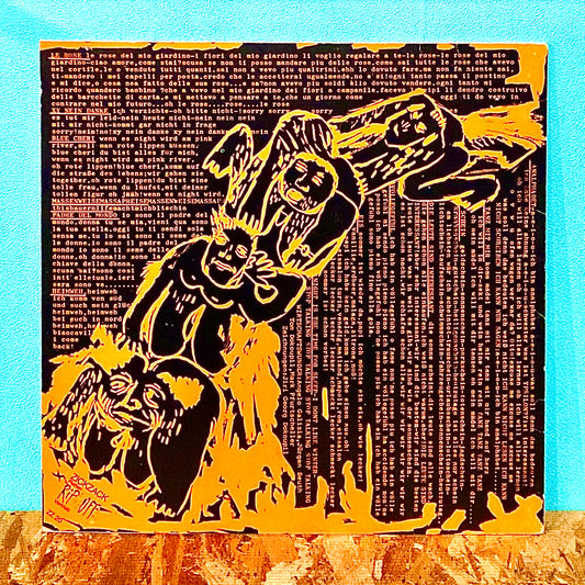 The Wirtschaftswunder ‎– Salmobray