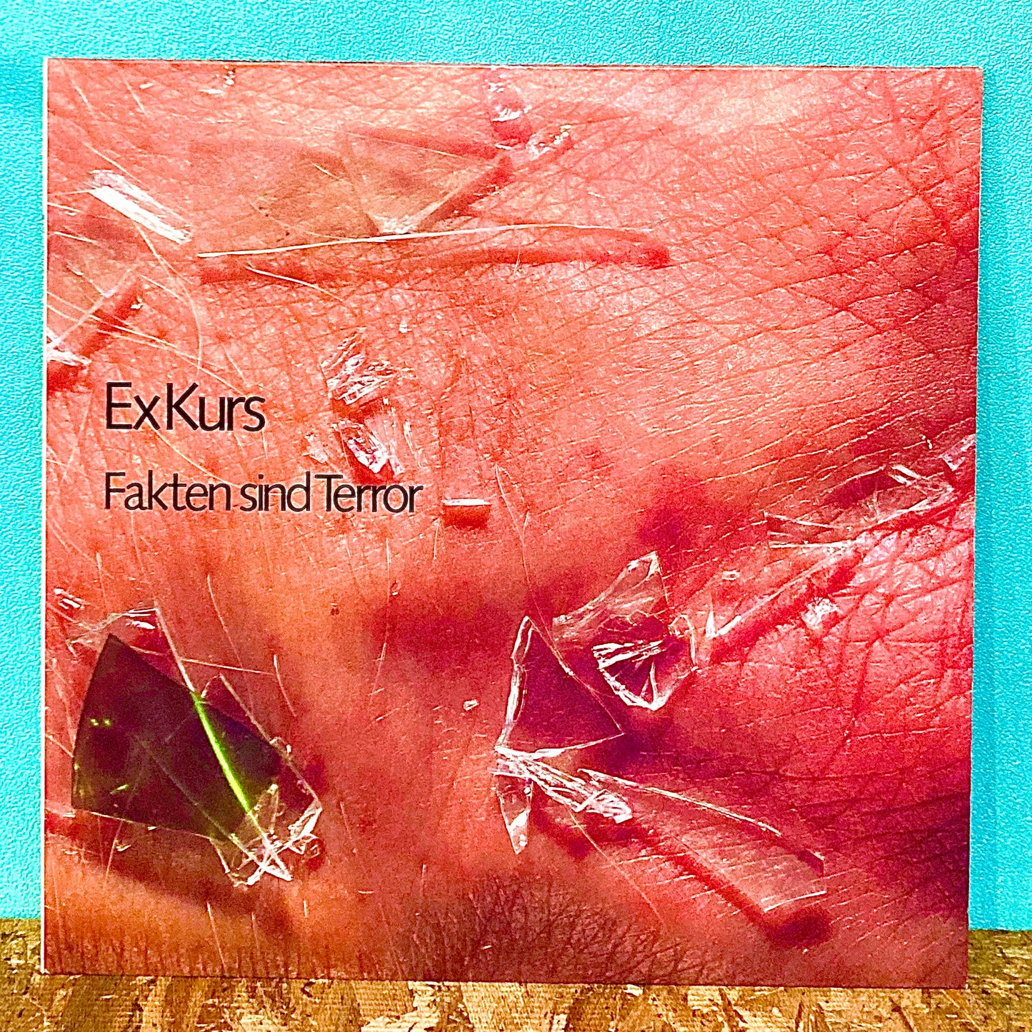 ExKurs – Fakten Sind Terror