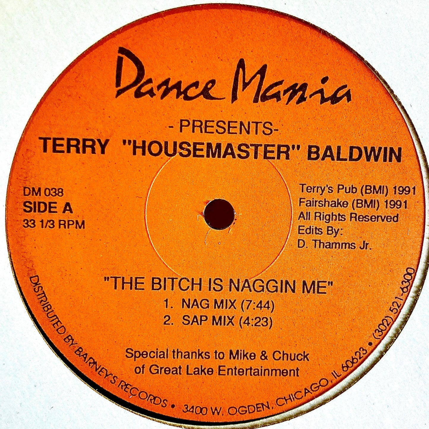 Terry "Housemaster" Baldwin* ‎– The Bitch Is Naggin Me / Hands Up (You Got The Love)