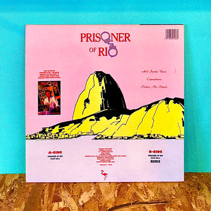 Ronnie B - Prisoner Of Rio
