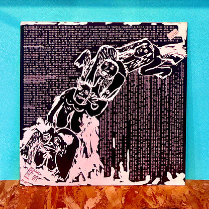 The Wirtschaftswunder ‎– Salmobray