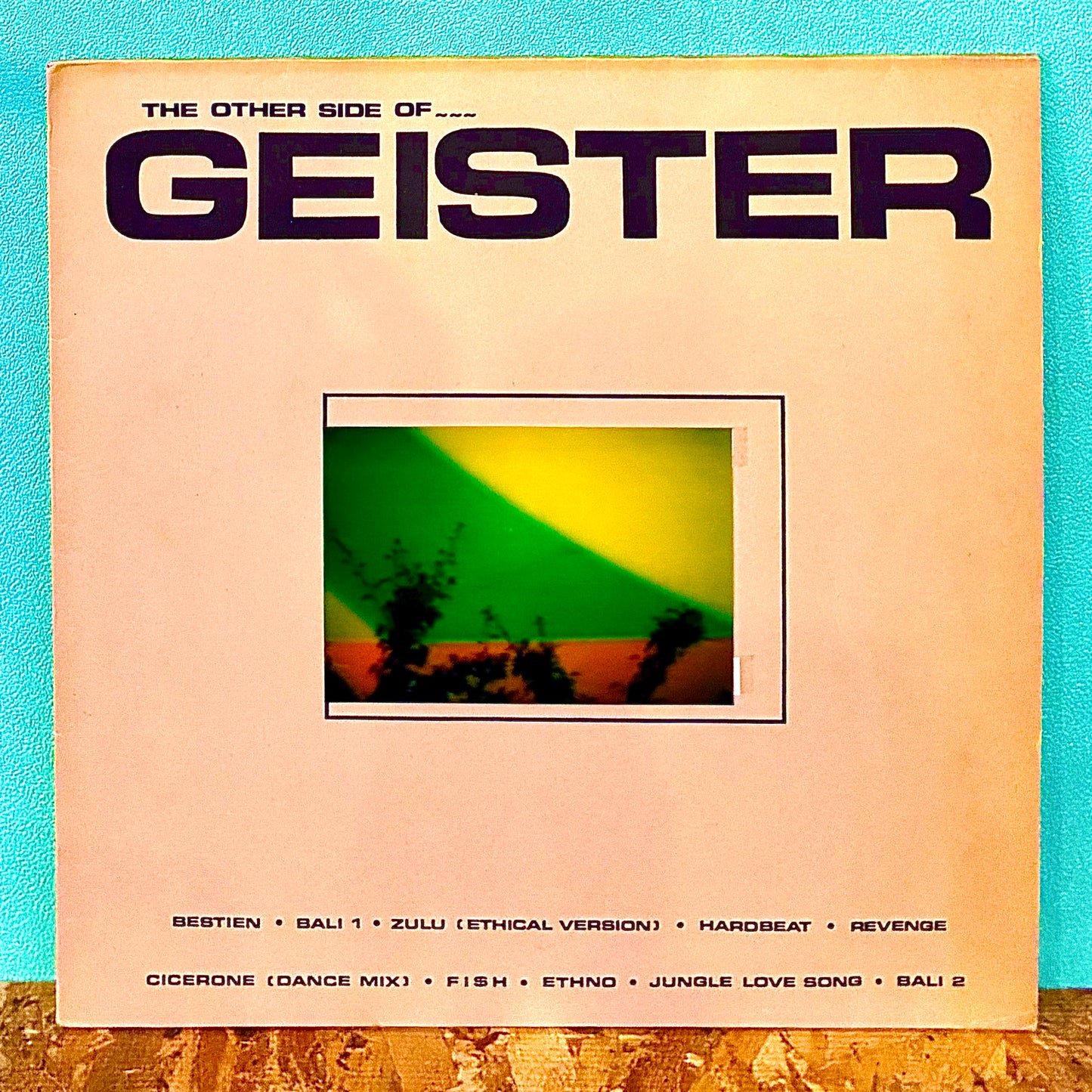 Geisterfahrer ‎– The Other Side Of...