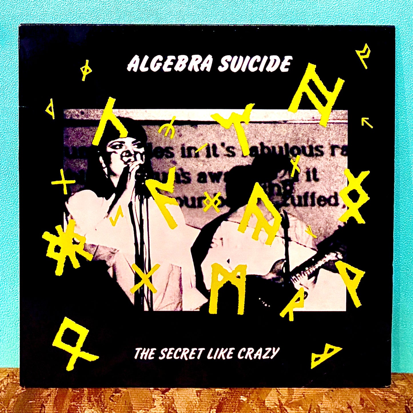 Algebra Suicide ‎– The Secret Like Crazy