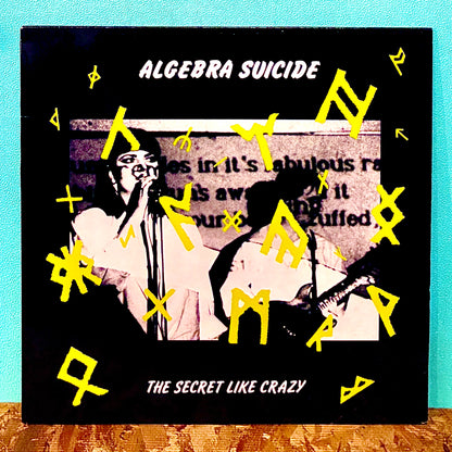 Algebra Suicide ‎– The Secret Like Crazy