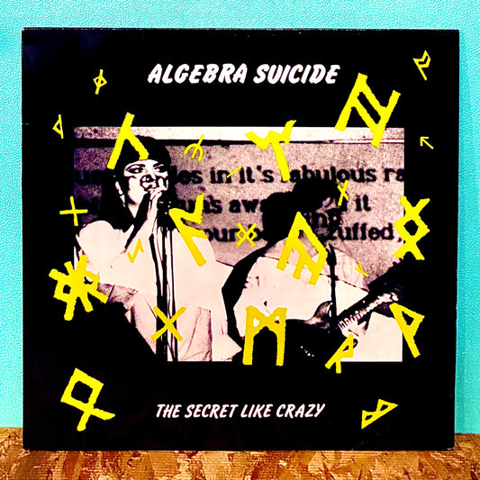 Algebra Suicide ‎– The Secret Like Crazy