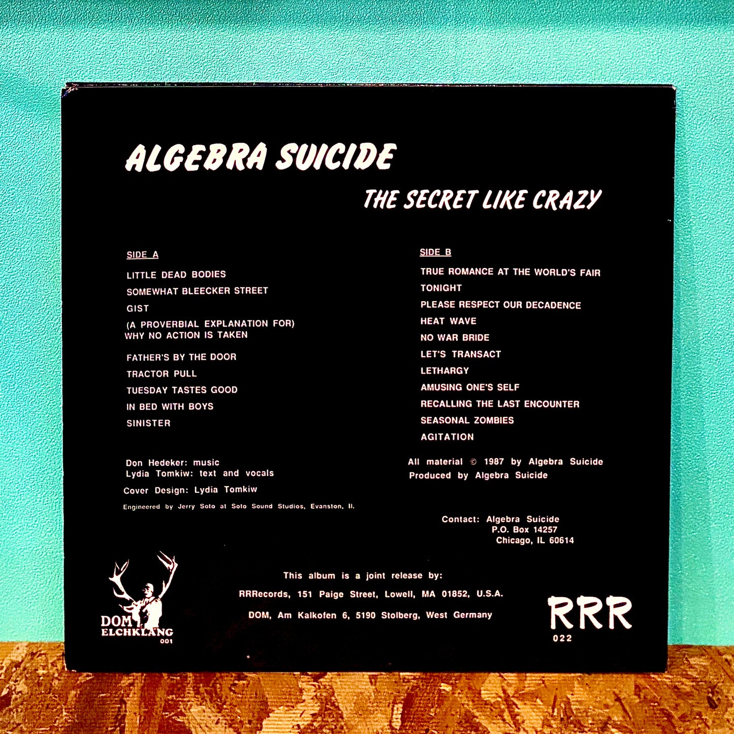 Algebra Suicide ‎– The Secret Like Crazy