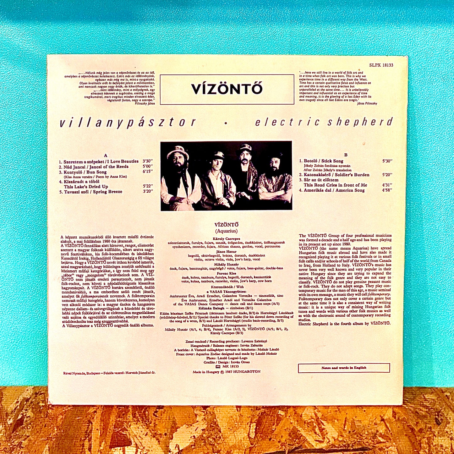 Vizonto - Villanypasztor - electric-shepherd