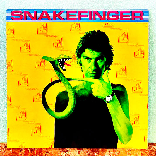Snakefinger ‎– Chewing Hides The Sound