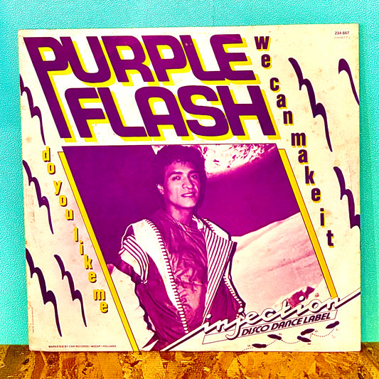 Purple Flash ‎– We Can Make It