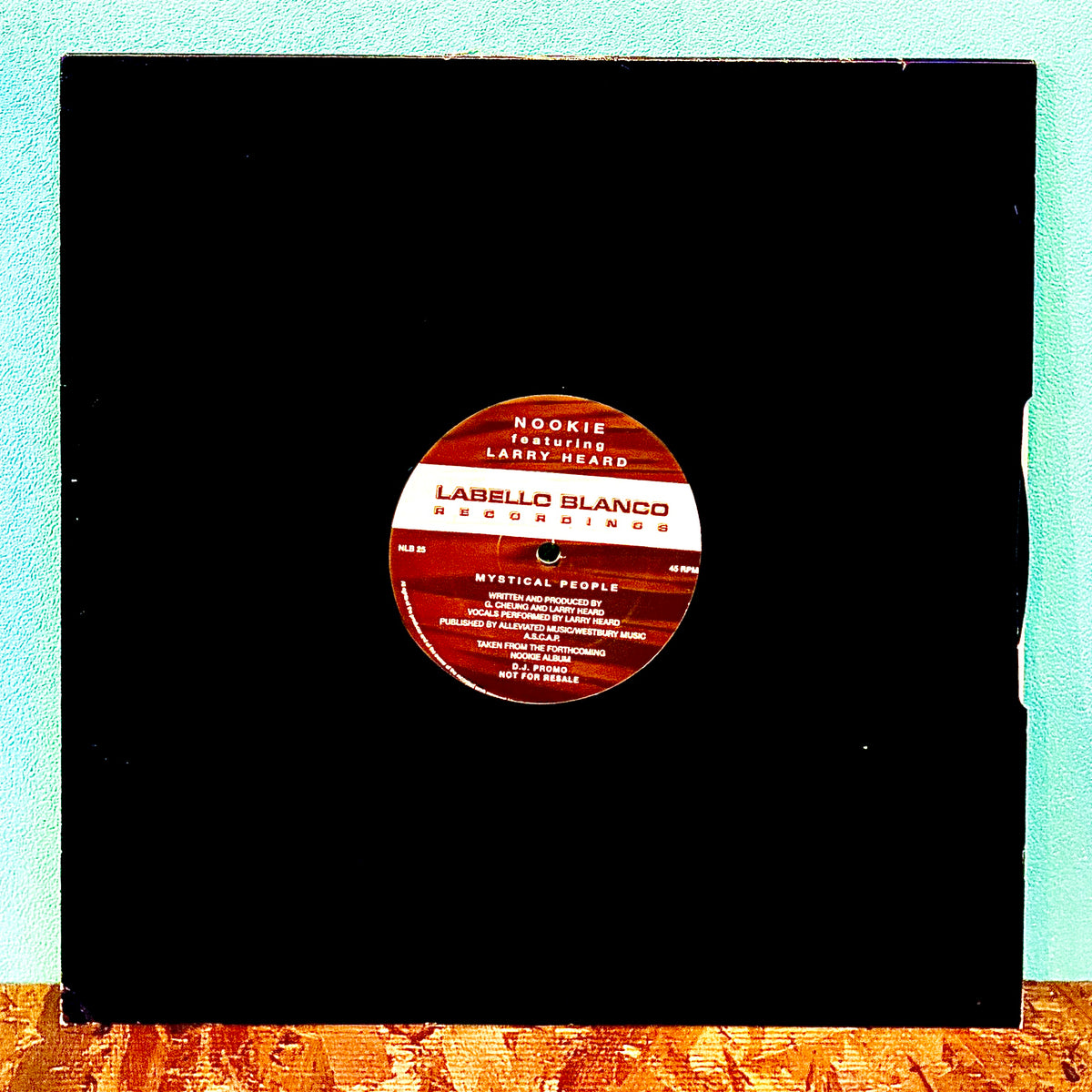 Nookie Featuring Larry Heard – Mystical People