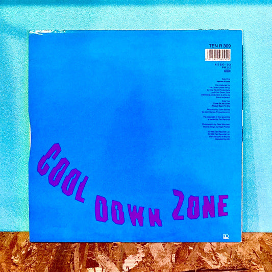 Cool Down Zone - Heaven Knows (12" Remix) - レコード
