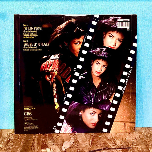 Haywoode – I'm Your Puppet - レコード